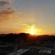 あおいなの画像