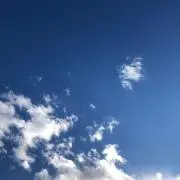 ひよこの画像