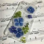 ぽんぽん（※プロフ御一読下さいね）