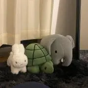 こうじの画像