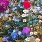 M.kの画像