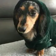 まのの画像