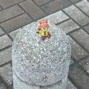 ゆうた