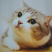 ゆーみんぐ