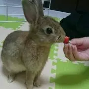 まきまきき