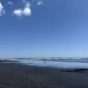AYUの画像