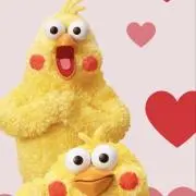 haruの画像