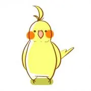 みかんの画像