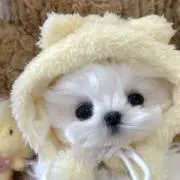 ♡の画像