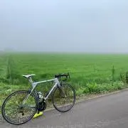 あぶけんの画像