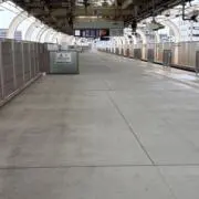 らっこの画像