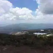 Stoneの画像