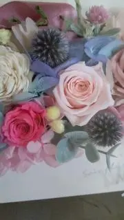 オペラ♪の画像