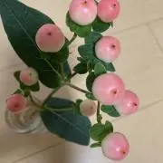 maの画像