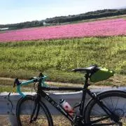 あゆひかの画像