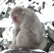 さいたまの画像