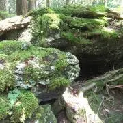 24時間以内発送/まとめ割引有Rinaの画像