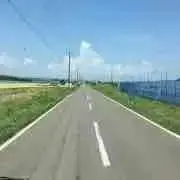 yyyの画像