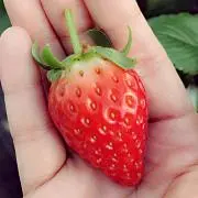 たろちゃん