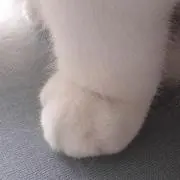 にあの画像