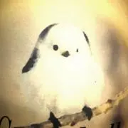 カナ太郎の画像