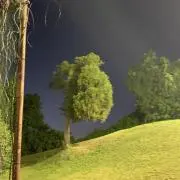 沖縄に行くためにの画像
