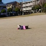 はな《☆断捨離中‎‎☆‬》の画像
