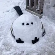 ひろの画像