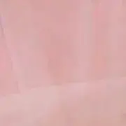 にくまんの画像