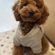 popota **(断捨離中～