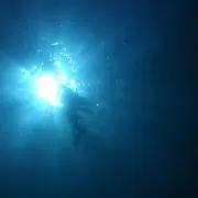 詩泉