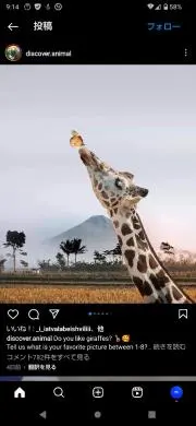 naoの画像