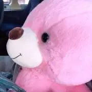 ペヤングの画像