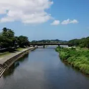 まりの画像