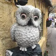 アリー☆の画像