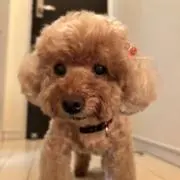 ララ