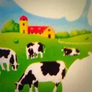 もちこの画像