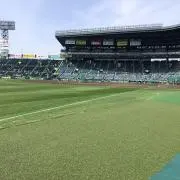 のぶにゃがの画像