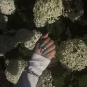 Yの画像