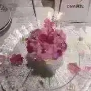 かの画像