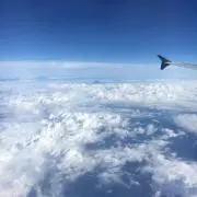 めいちん