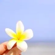 AmaRe⭐︎フォロー様割やってます✨の画像