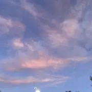 chibakunの画像