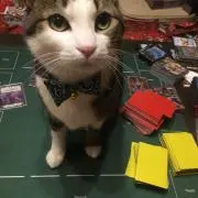 ねぎ