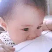 ゆきぽんの画像