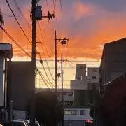 蒼森