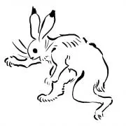 うさぎの画像
