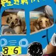 ハチロクまま