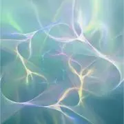 00000