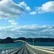 Yuyuyuの画像